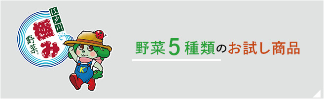 野菜５種類のお試し商品